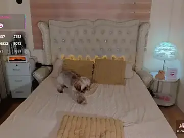 Stripchat Best live sex cam show of FinestGirlx