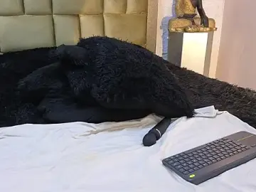 Stripchat Best Webcam of ximenawilliamss
