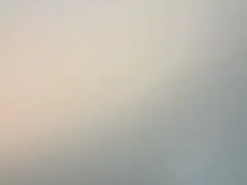 Stripchat Best Webcam of LeBimbo