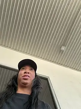 Stripchat Sex Cam of LeBimbo