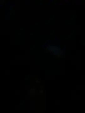 Stripchat Sex Chat of LeBimbo