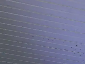 Stripchat Sex Cam of dustyn_fox