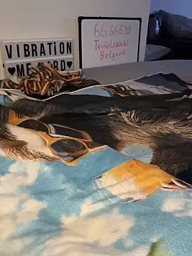 Stripchat Live Sex of secret_dream415