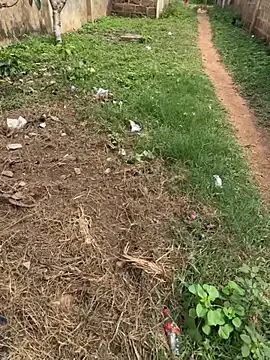 Stripchat Live Porn of Black-mamba-madingo