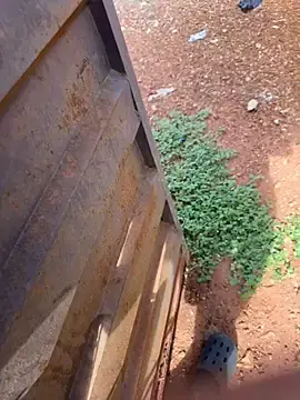 Stripchat Adult Webcams of Black-mamba-madingo