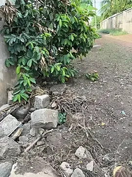 Stripchat Private Sex Chat of Black-mamba-madingo