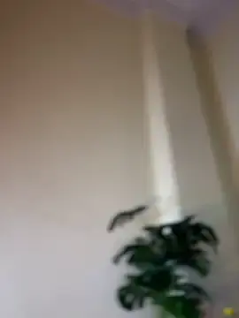 Stripchat Adult Webcam of AleezaFrench