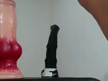 Stripchat Adult Webcam of Full_Fist