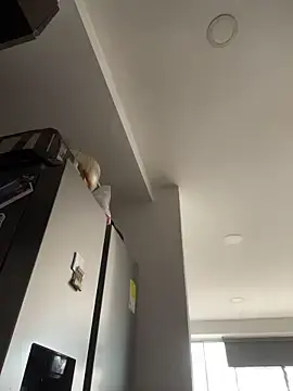 Stripchat Watch Live Sex Cams of Emma_Wish