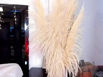 Stripchat Sex Chat of ailynBlaze