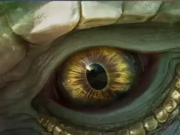 Stripchat Best Webcam of MHe-002